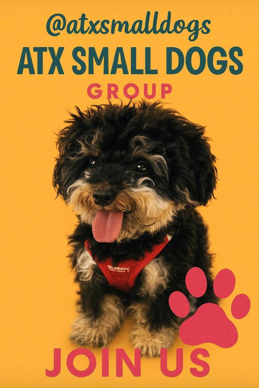 ATX Small Dogs phantom Maltipoo mascot poster