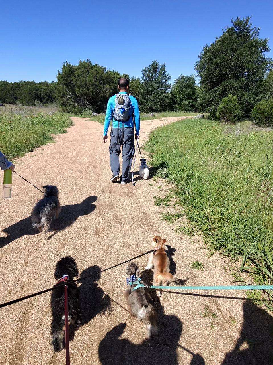 ATX Small Dogs pack gathering